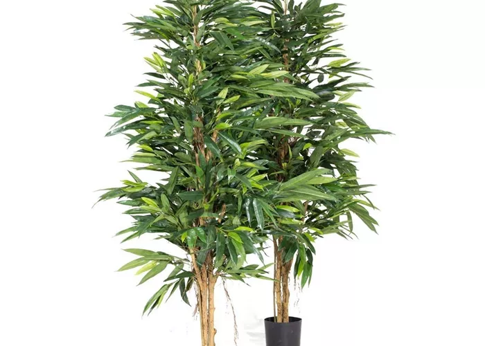 fleur ami LONGIFOLIA ROYAL NATURAL Kunstpflanze