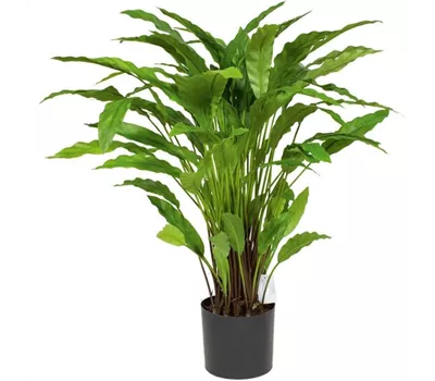 fleur ami CALATHEA Kunstpflanze fleur ami CALATHEA Kunstpflanze