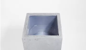 fleur ami Fleur ami Pflanzeinsatz fleur ami Fleur ami Pflanzeinsatz