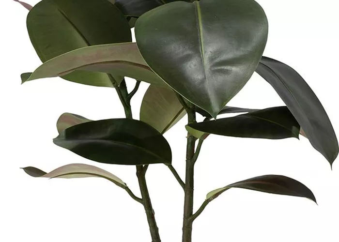 fleur ami FICUS ELASTICA Kunstpflanze