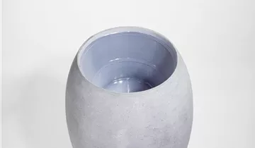 fleur ami Fleur ami Pflanzeinsatz fleur ami Fleur ami Pflanzeinsatz