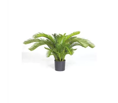 fleur ami CYCASPALME DELUXE Kunstpflanze fleur ami CYCASPALME DELUXE Kunstpflanze
