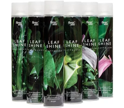 fleur ami Fleur ami Blattglanz fleur ami Fleur ami Blattglanz