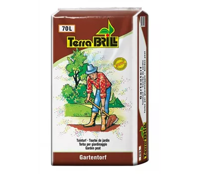 Brill Gartentorf