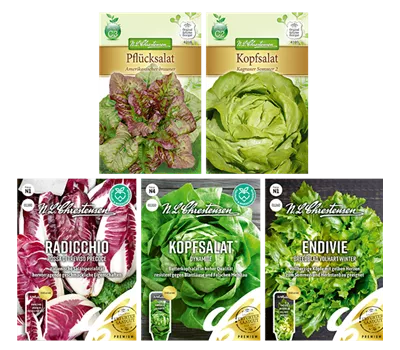 Saatgut Set 'Salat'  Saatgut Set 'Salat'