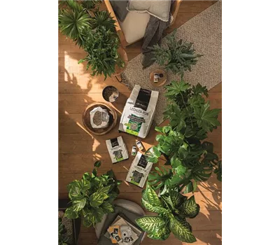 LECHUZA Pon Pflanzgranulat LECHUZA Pon Pflanzgranulat