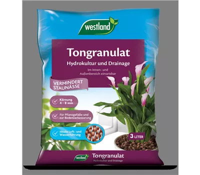 Westland Tongranulat Westland Tongranulat