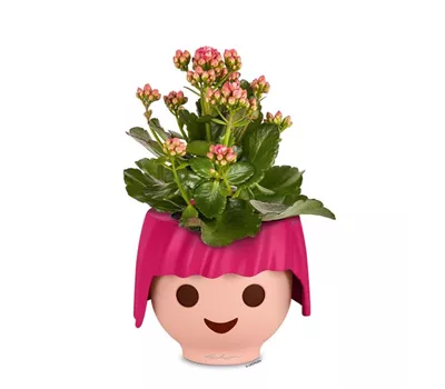 LECHUZA OJO LECHUZA OJO