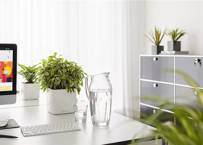 LECHUZA CUBE Glossy 16  LECHUZA CUBE Glossy 16