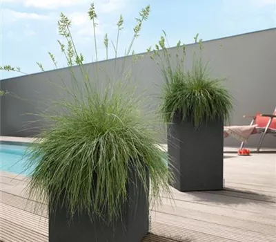 LECHUZA CANTO Stone 30 low LECHUZA CANTO Stone 30 low