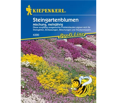 Steingartenstauden Steingartenstauden