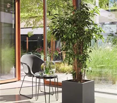 LECHUZA CANTO Stone 40 low LECHUZA CANTO Stone 40 low