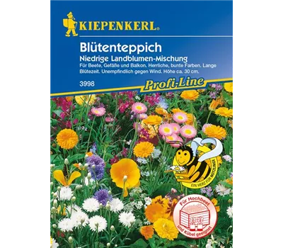 Niedrige Landblumen-Mischung Niedrige Landblumen-Mischung