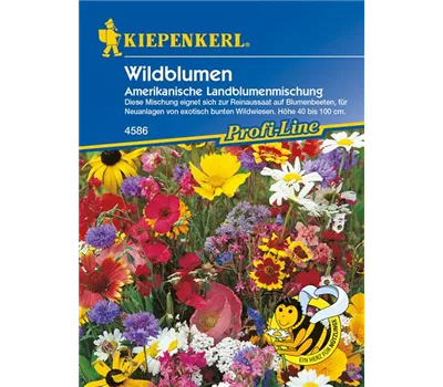 Amerikanische Landblumenmischung Amerikanische Landblumenmischung