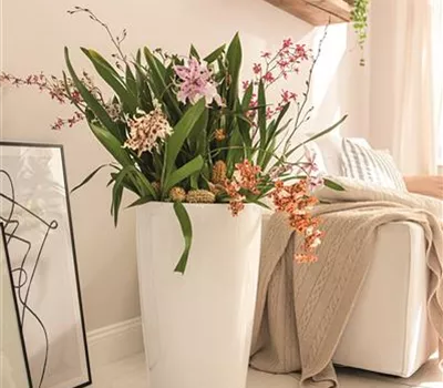 LECHUZA RONDO Premium 32  LECHUZA RONDO Premium 32