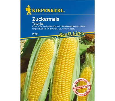 Zuckermais 'Tatonka F1' Zuckermais 'Tatonka F1'