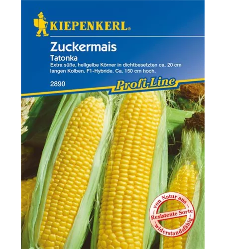 Zuckermais 'Tatonka F1'