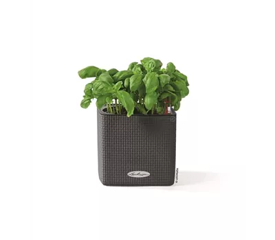 LECHUZA CUBE Color 14  LECHUZA CUBE Color 14