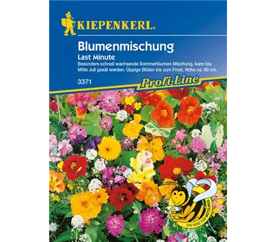 Blumenmischung 'Last Minute' Blumenmischung 'Last Minute'