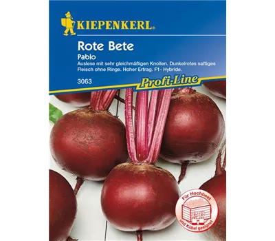 Rote Rübe 'Pablo'