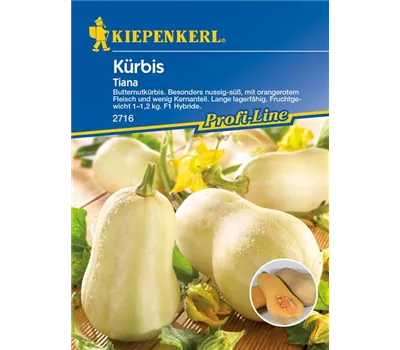 Kürbis 'Tiana' Kürbis 'Tiana'