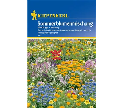 Niedrige Sommerblumen Niedrige Sommerblumen