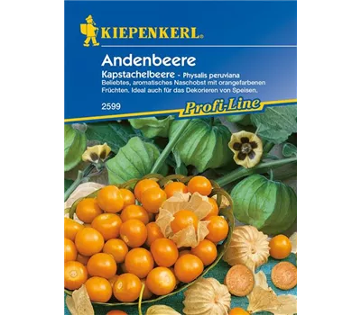 Andenbeere Andenbeere