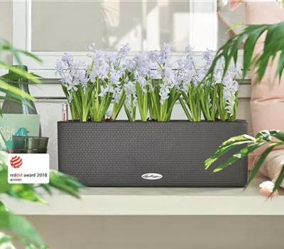 LECHUZA CUBE Color Triple 14  LECHUZA CUBE Color Triple 14