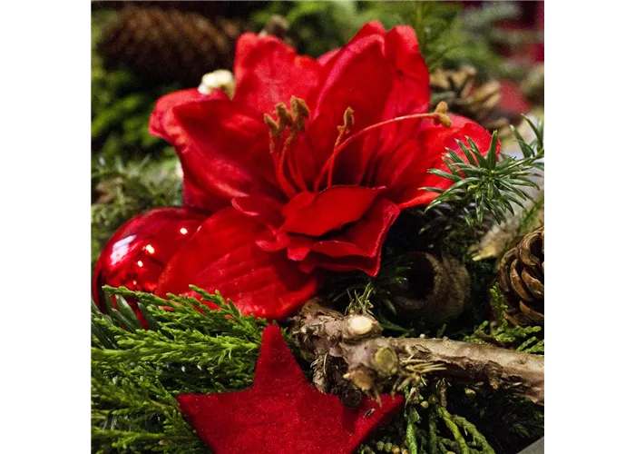 Frohe Weihnachten und ein gutes neues Jahr!