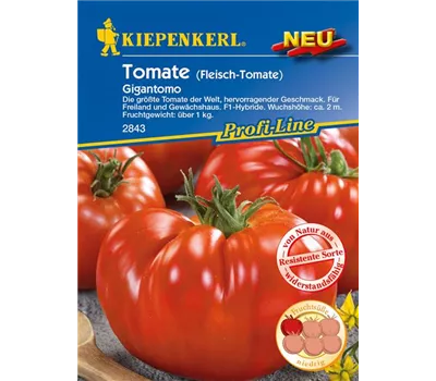 Fleischtomate 'Gigantomo F1' Fleischtomate 'Gigantomo F1'