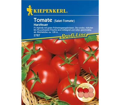 Tomate 'Harzfeuer F1' Tomate 'Harzfeuer F1'