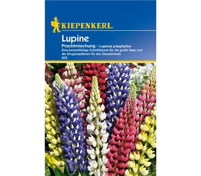 Garten-Lupine 'Prachtmischung' Garten-Lupine 'Prachtmischung'