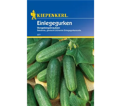 Einlege-Gurke 'Vorgebirgstrauben' Einlege-Gurke 'Vorgebirgstrauben'