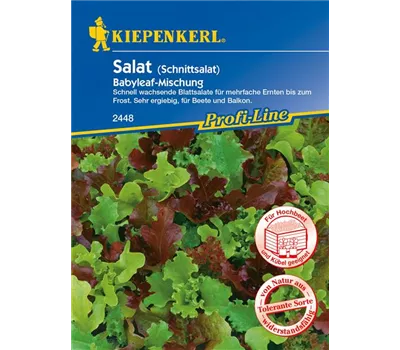 Babyleaf-Salat Babyleaf-Salat