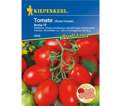 Buschtomate 'Roma' Buschtomate 'Roma'