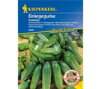 Einlege-Gurke 'Charlotte F1' Einlege-Gurke 'Charlotte F1'