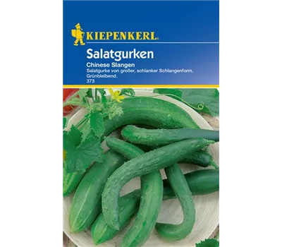 Gurke 'Chinese Slangen' Gurke 'Chinese Slangen'