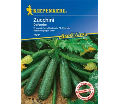 Zucchini 'Defender F1' Zucchini 'Defender F1'