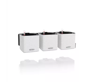 LECHUZA Green Wall Home Kit Color LECHUZA Green Wall Home Kit Color