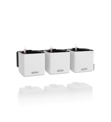 LECHUZA Green Wall Home Kit Color