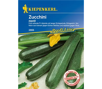 Zucchini 'Mastil' Zucchini 'Mastil'