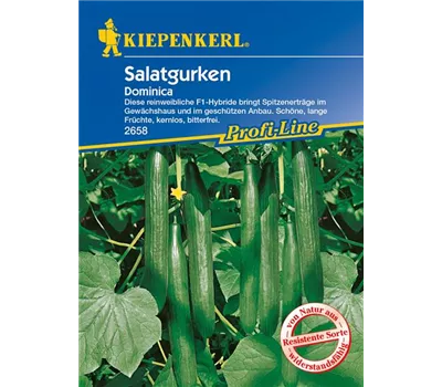 Gurke 'Dominica F1' Gurke 'Dominica F1'