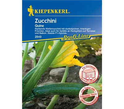 Kletter-Zucchini 'Quine' Kletter-Zucchini 'Quine'
