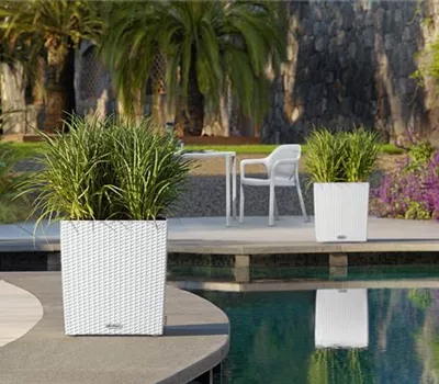 LECHUZA CUBE Cottage 40  LECHUZA CUBE Cottage 40