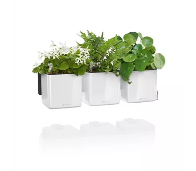 LECHUZA Green Wall Home Kit Glossy  LECHUZA Green Wall Home Kit Glossy
