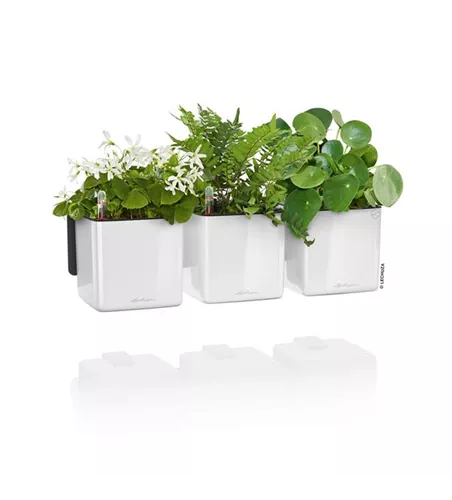 LECHUZA Green Wall Home Kit Glossy 