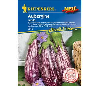 Aubergine 'Lucilla' Aubergine 'Lucilla'