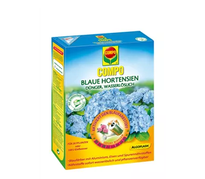 Compo Blaue Hortensien  Compo Blaue Hortensien