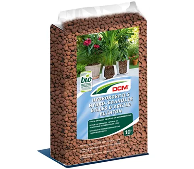 Cuxin Blähton Cuxin Blähton