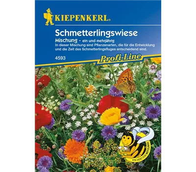 Schmetterlingsweide Schmetterlingsweide